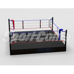 Ring de boxe pro training...