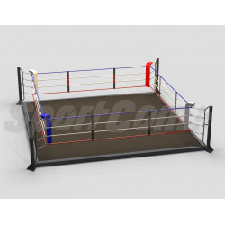 Ring de boxe training avec...