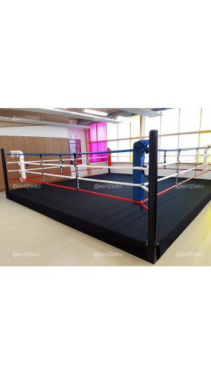 Ring de Boxe (Personnalisable) - Sur plateforme 