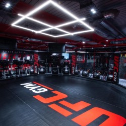 Personnalisation de Cages MMA