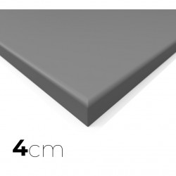 Tatamis de MMA lisse 2m x 1m