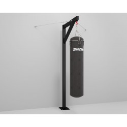 Professional punching bag...