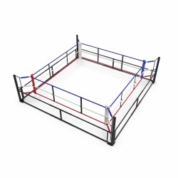 Movable boxing ring