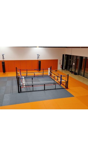 Boxing Ring REGULATION SIZE 3D model | CGTrader