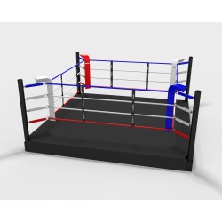 Pro training boxing ring...