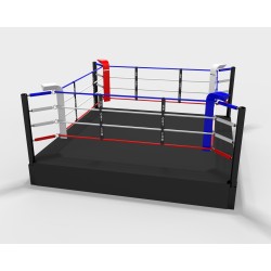 Pro training boxing ring...