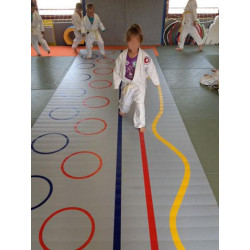 Tapis pédagogique judo &...