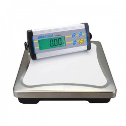 Bodyweight scale